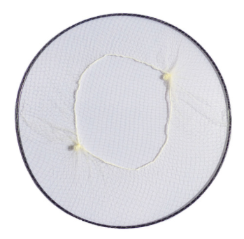 4.5cm Ripple Pins 50 Pack